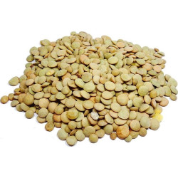 *PRODUIT BLOQUE* BIO LENTILLE VERTE 25KG